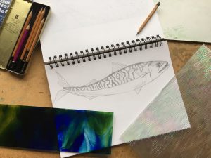 Sketch of a mackerel