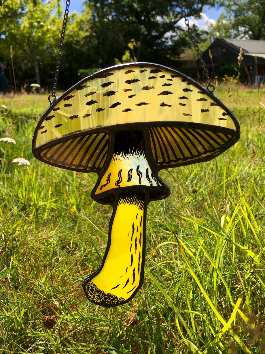 Flat topped mushroom on grass