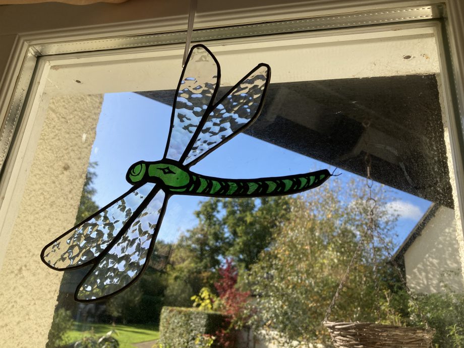 Stained glass green dragonfly sun catcher